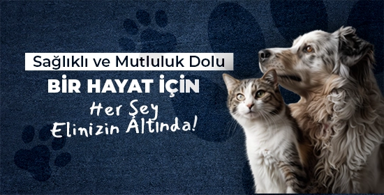 Dolu BIr Hayat için her şey banner