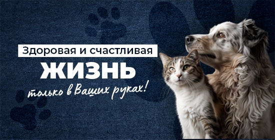 Для здоровой и счастливой жизни banner