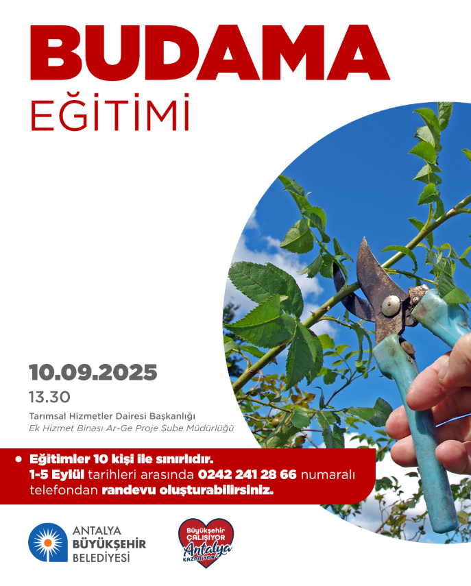 Pruning Training