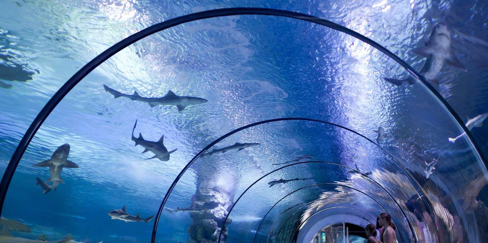 Antalya Aquarium