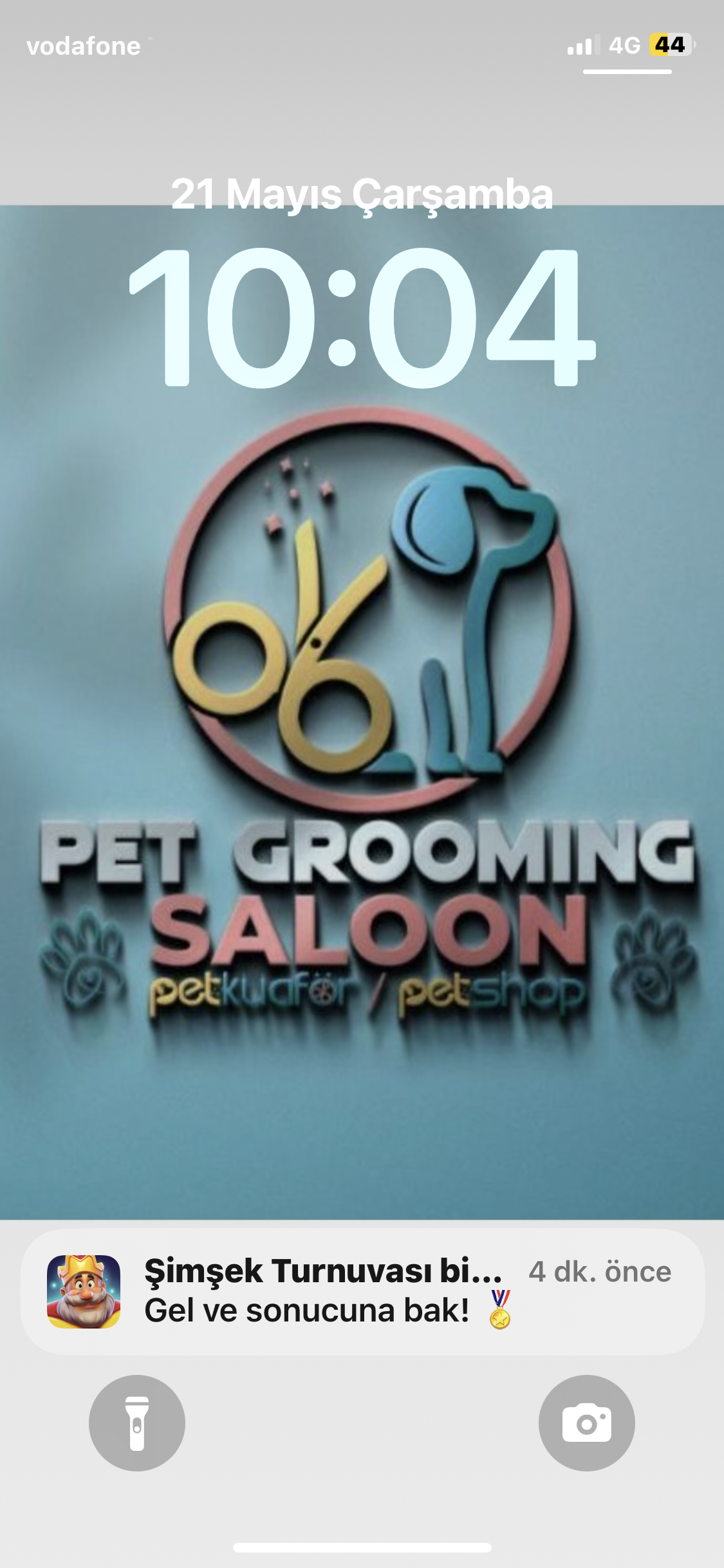 Pet Grooming Saloon