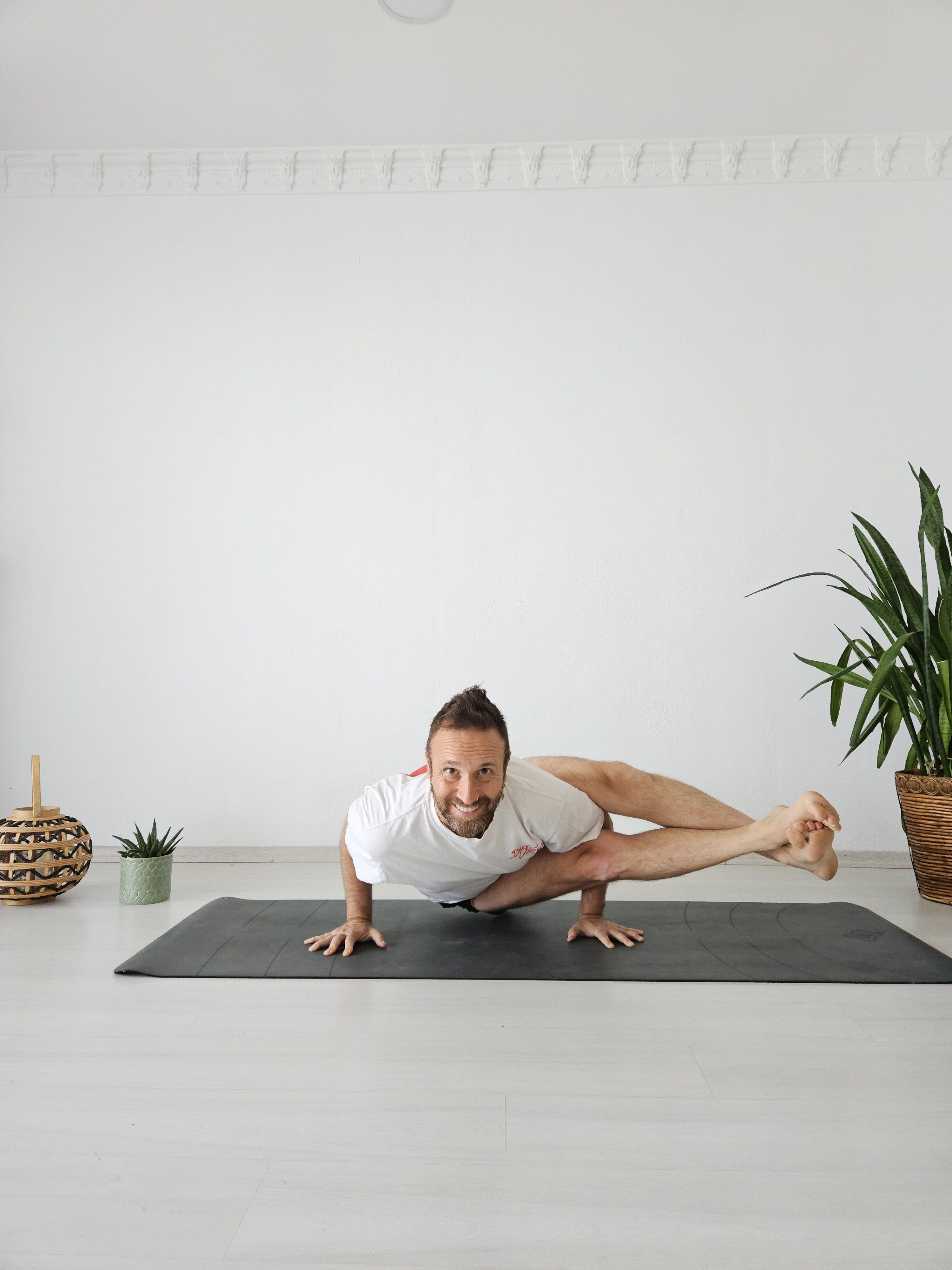 Yoga, Ayurveda, Astroloji ve Köpek Eğitmenliği Danışmanlıkları