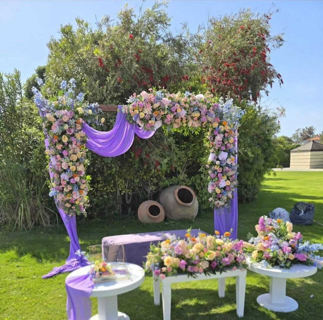 Doğum Günü - image 1