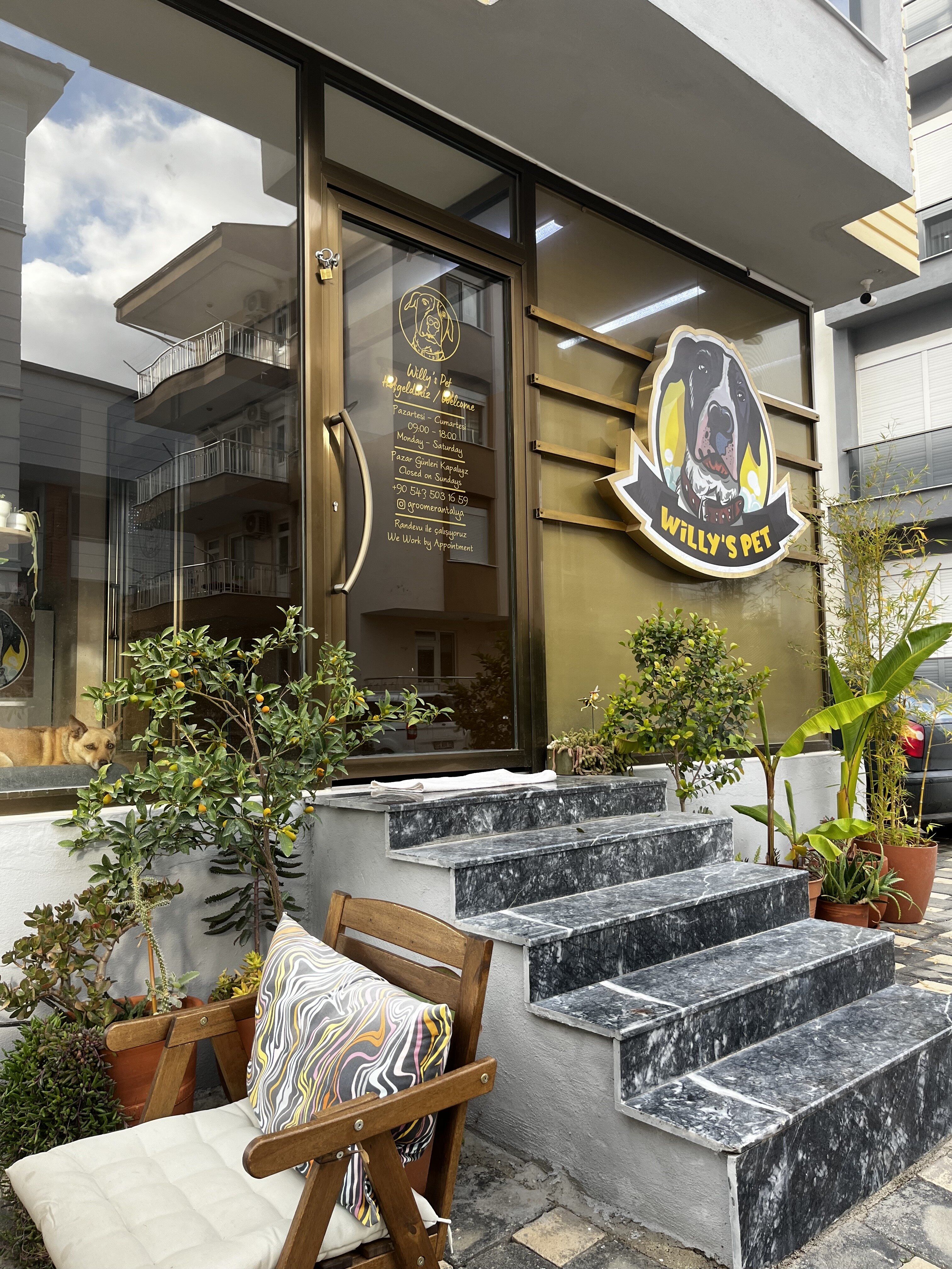Willy’s Pet / Groomer Antalya