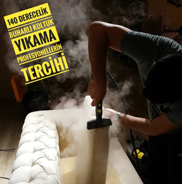 Koltuk Yıkama - image 1