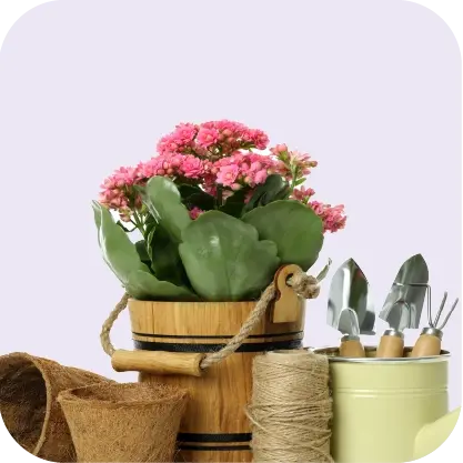 Home and Garden category banner